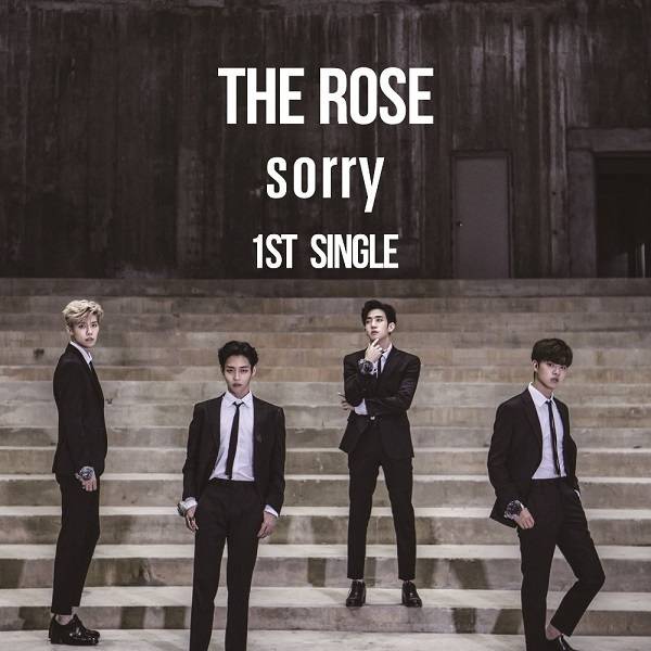 The Rose Sorry Lyrics Color Coded Lyrics Lyrics At Ccl